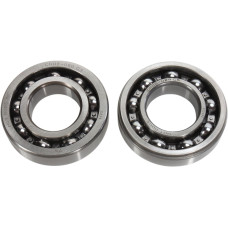 КОРЕННЫЕ ПОДШИПНИКИ Hot Rods (09240282) YAMAHA WR 50 2 X
