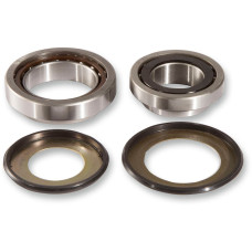 ПОДШИПНИКИ РУЛЕВОЙ КОЛОНКИ Pivot works (04100228) OEM аналог набор(комплект) серебристый STAINLESS NATURAL