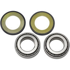 ПОДШИПНИКИ С САЛЬНИКАМИ РУЛЕВОЙ КОЛОНКИ ALL BALLS (221003) YAMAHA SUZUKI набор(комплект) ALL BALLS /TRIUMPH